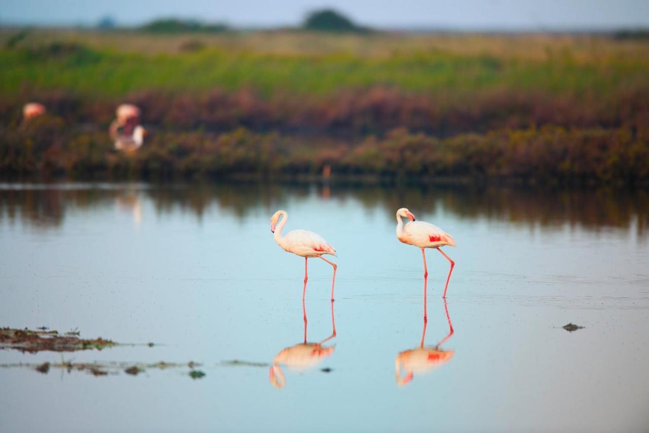Fiordo Topazio Albarella Island Luaran gambar